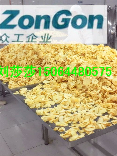 諸城眾工機(jī)械 專業(yè)供應(yīng)菠蘿蜜膨化設(shè)備與技術(shù)轉(zhuǎn)讓，助力產(chǎn)業(yè)升級(jí)